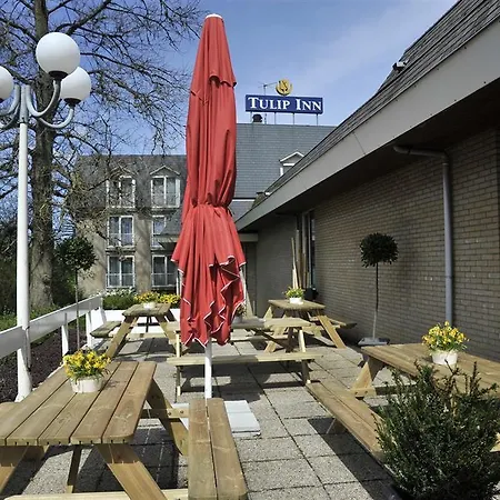 Hotel Tulip
