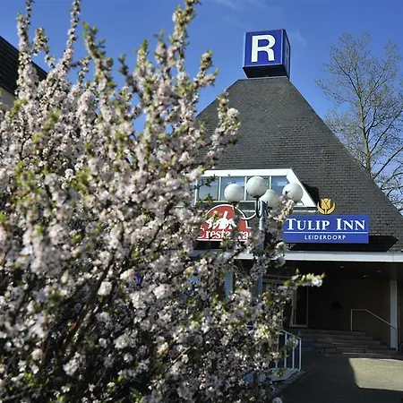 Hotel Tulip 3*