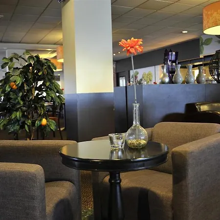 Hotel Tulip 3*
